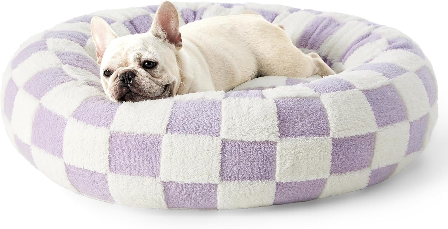 Dog sitting in a MIAYLUNE donut dog bed with a purple checkerboard pattern.