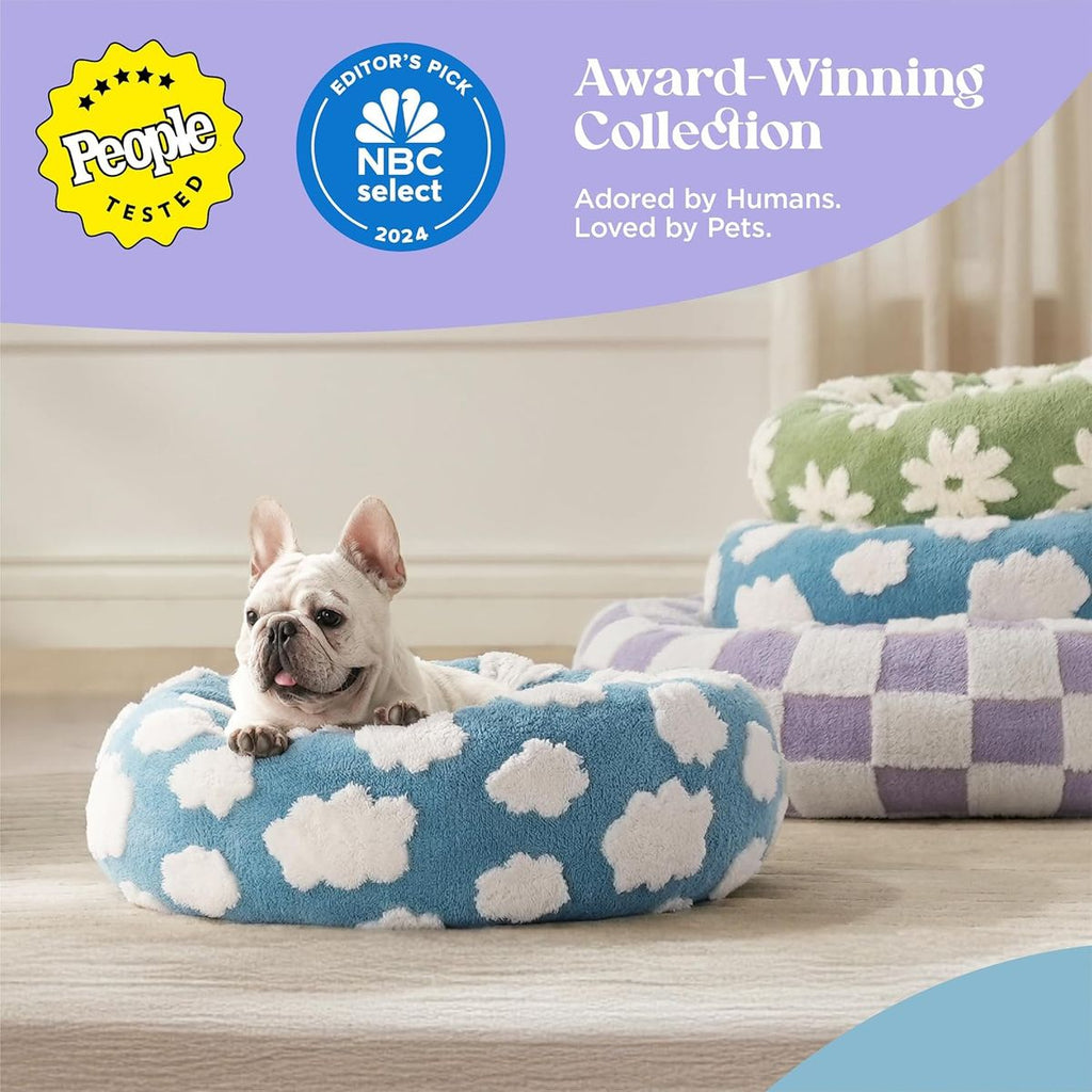 Dog lying on a blue cloud-patterned bed with awards displayed above