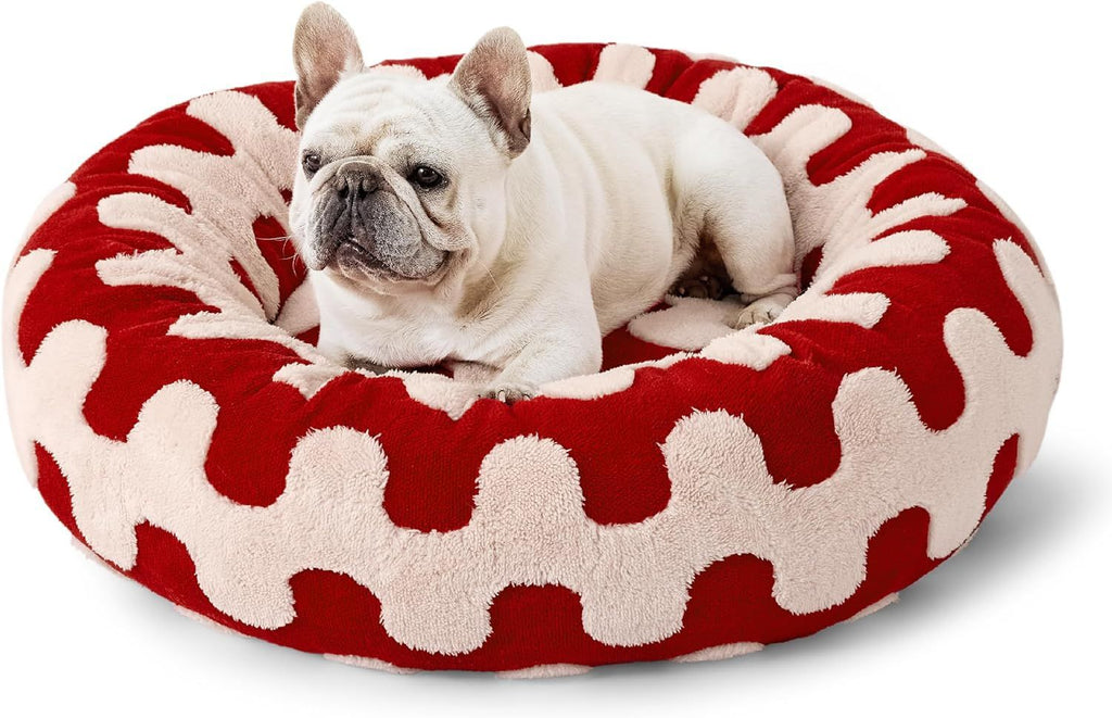 White dog lying on a red and white patterned pet bed