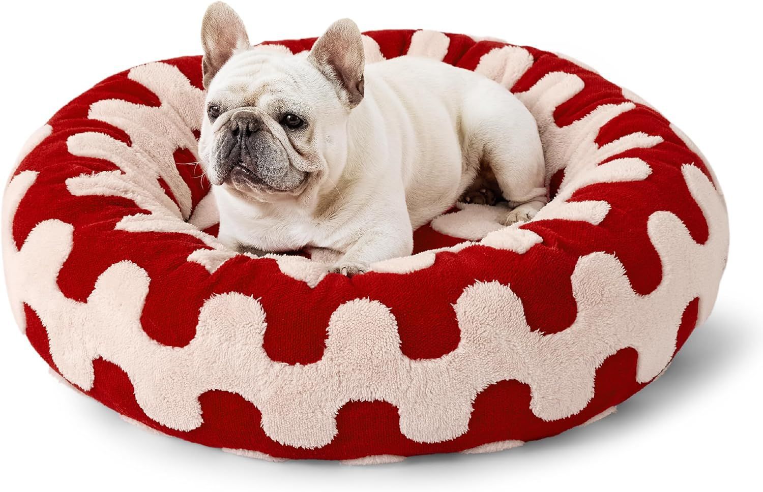 White dog lying on a red and white patterned pet bed