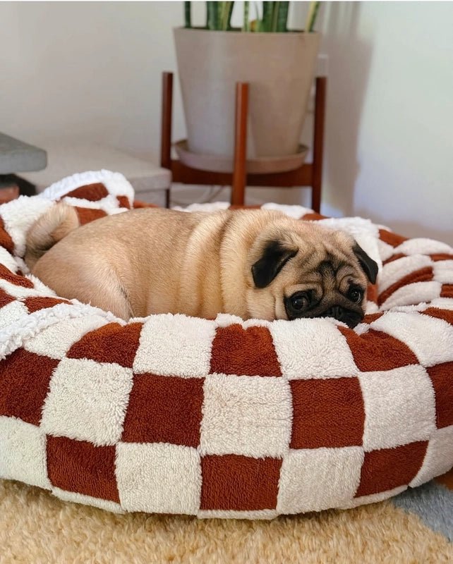 MIAYLUNE Orthopedic Calming Dog Bed - Ultimate Comfort for Your Pet - MIAYLUNE