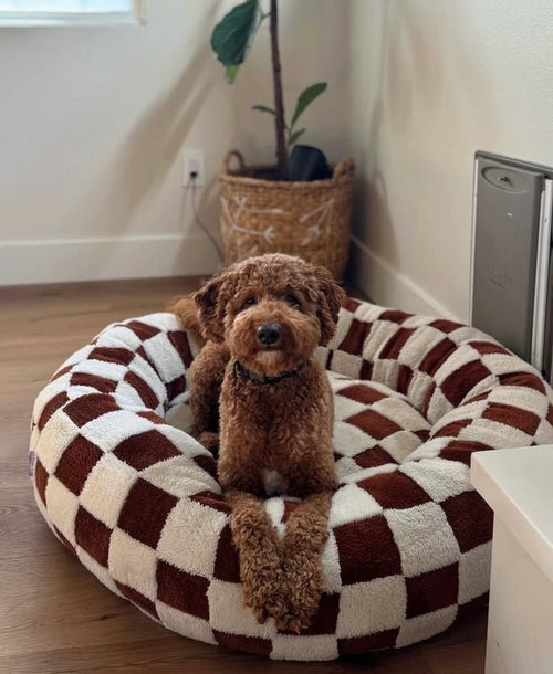 Orthopedic Calming Lounger - MIAYLUNE