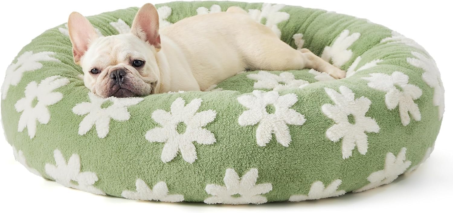 The Premium Comfort Lounger - MIAYLUNE